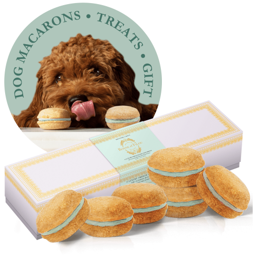 Dog Macarons - Count of 6 (Dog Treats | Dog Gifts)